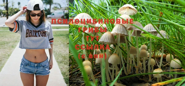 крисы Касимов