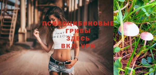 крисы Карталы