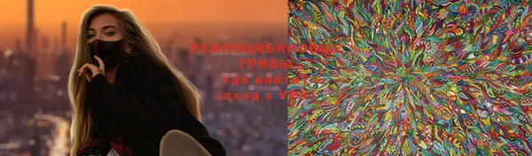 крисы Касимов