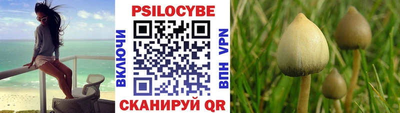 Купить  Сальск  Галлюциногенные грибы Magic Shrooms 